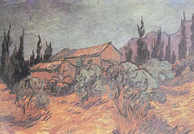 Vincent Van Gogh Huts surrounded by olive trees and cypresses china oil painting image
